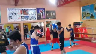 اکادمی تخصصی بوکس ویژه نونهالان استان البرز