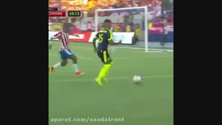 داورو نگاه کنین