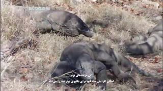 دانلود مستند داستان آفرینش (بشرهای نخستین) قسمت هشتم