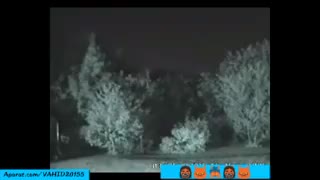 دیده شدن اجنه در پارک...