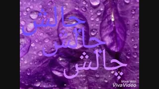 چالش بارانا جان
