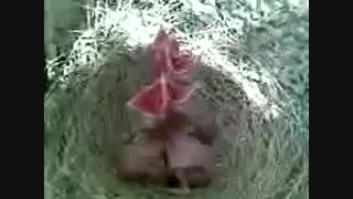 مرض....-_-..خخخ