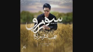 سفر نرو_حجت اشرف زاده مزوتراپی