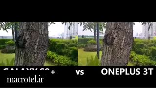 مقاسیه دوربین Galaxy S8 PlusوOnePlus 3Tدرmacrotel.ir