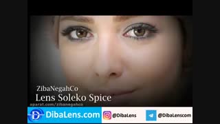 لنز رنگی سولکو  فصلی  اسپایس|DibaLens.com-SOLEKO Twin Spice