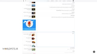 راهنمای ارسال کلینیک های دامپزشکی به سایت دنیای حیوانات