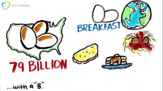 آیا زرده‌ تخم‌مرغ مضر است؟(به زبان فارسی در سیب اول)