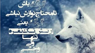 چالش فاطمه جون