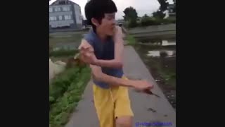 ور نرو با خرچنگ بردارد چینی-__-