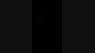 محصولات بامبو درشت