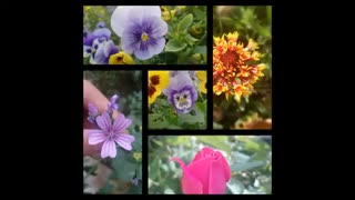 چالش مونا(که قرار بود بره-.-!)