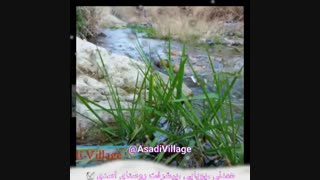 مناظر روستای اسدی غیاثوند