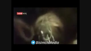 لحظه شهادت دکتر مصطفی چمران در دهلاویه ماموپلاستی