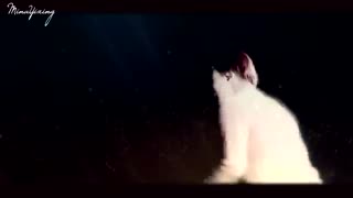 Kim Kai Beautiful Goodby_کاور زیبا و فوق العادهbeautiful goodby از کای.فک نمیکردم صداش اینقدر خوب باشه**جونگین-اکسو-exo-jungin