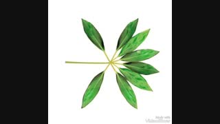 بدویین تو توضیحات....