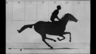Sallie Gardner at a Gallop 1878