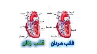 در بیشتر مواقع بر عکسه