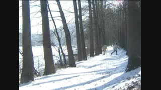 قسمت 4 سریال کره ای «زمستان سوناتا » Winter Sonata با زیرنویس فارسی چسبیده ( Part  2 )