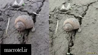 مقایسه دوربین Galaxy J5 2016 و Xiaomi Mi4cدرmacrotel.ir