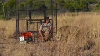 مستندی فوق العاده از حیات وحش و حیوانات درنده