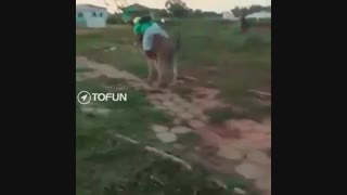 خر و خر با هم میشن خر توو خر-ــــ-...فقط اخرش:/