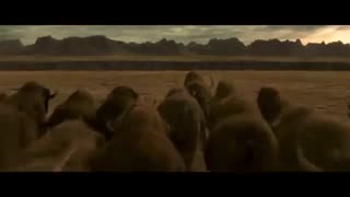 دانلود فیلم  Alpha 2018 - تریلر 1