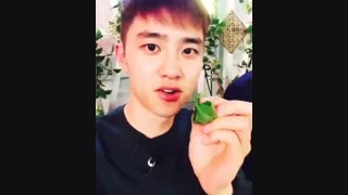 کیونگی درvlive vcoocki