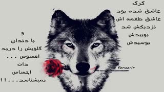 همه بیان اصل حتی اونایی که هزار بار دادن