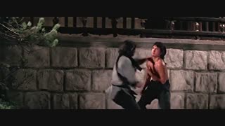 دانلود فیلم رزمی دوبله فارسی معبد شائولین 1976 با دوبله فارسی