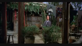 دانلود فیلم رزمی انتقام استاد شائولین با دوبله فارسی