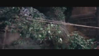 دانلود فیلم رزمی مبارزه استادان با دوبله فارسی