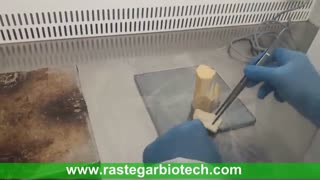 DVD  فیلم های آموزشی  کشت  بافت  خرما