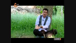 استنداپ بسیار زیبا ازهنرمند عبدالرضامحمدی