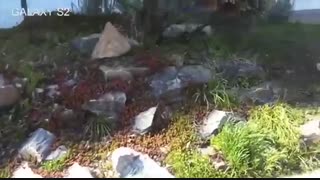 مقایسه دوربین J5 2016وGalaxy S2درmacrotel.ir