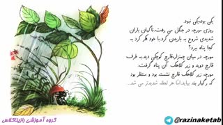 بخشی از کتاب صوتی -تصویری  «قارچ و مورچه »
