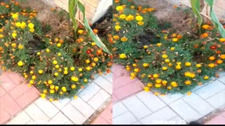 مقایسه دوربین J5 2016وiPhone 4sدرmacrotel.ir