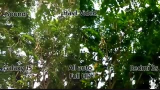 مقایسه دوربین J5 2016وRedmi 3sدرmacrotel.ir