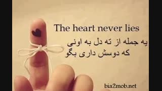 یه جمله از ته دلت به اونی که دوسش داری بگو . . .