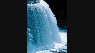 شب بخیر گلی