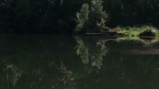 سریال مردگان متحرک قسمت 7 فصل دوم