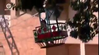 دانلود قسمت 315 سریال زبان عشق دوبله فارسی