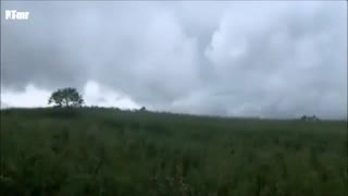 میکس سریال پادشاه و من