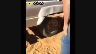 پرشین پارس (ورود مار به بدنه خودرو)