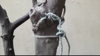 مقایسه دوربین J7 PrimeوJ7 2016درmacrotel.ir