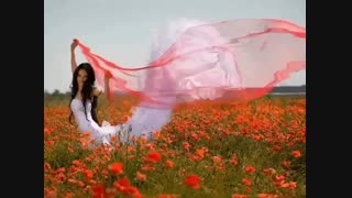 شب بخیر گلی جون