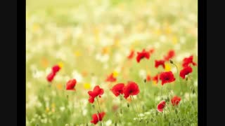 ♥ چالش سایه جونی ♥