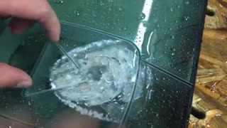 شیشه ی ضد گلوله علیه فشار زیاد آب