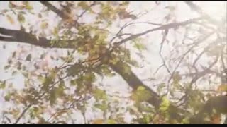 فیلم خداحافظی قدیمی با زیرنویس چسبیده و حجم کم