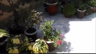 تست دوربین Galaxy C5 در macrotel.ir