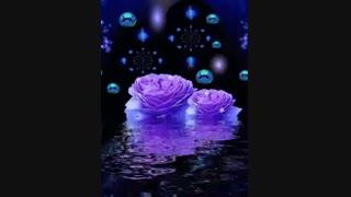 شب بخیر گلی